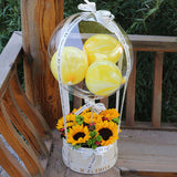 黃金6朵太陽花透明氣球禮盒