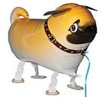 Walking Pet Balloon - 八哥 走路寵物氣球系列 - PartyKingdom 派對王國 | 充氫氣球及氦氣罐專門店